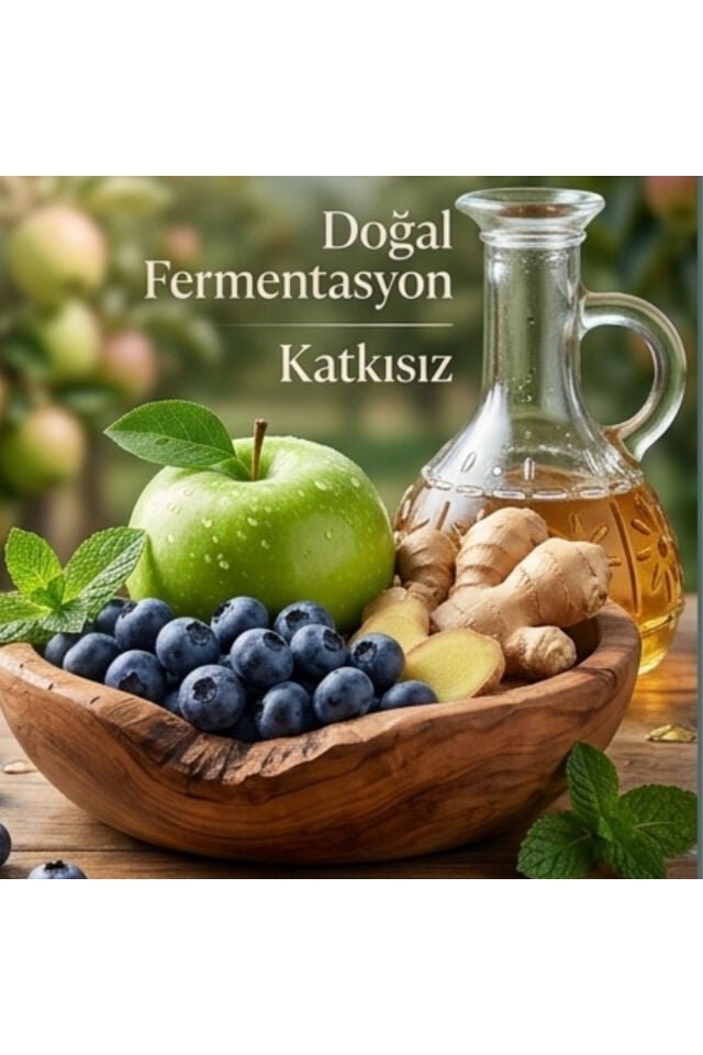 Detoks Sirkesi 2 Ad X 500 ml-Doğal Fermantasyon Katkısız Sindirim Ve Metabolizma Destekleyici